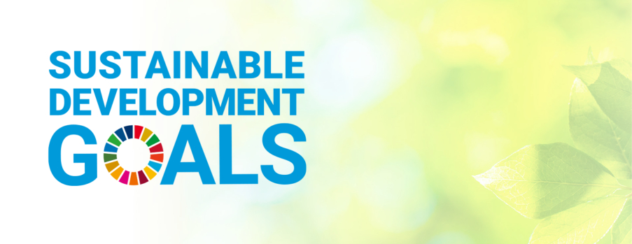 SDGs